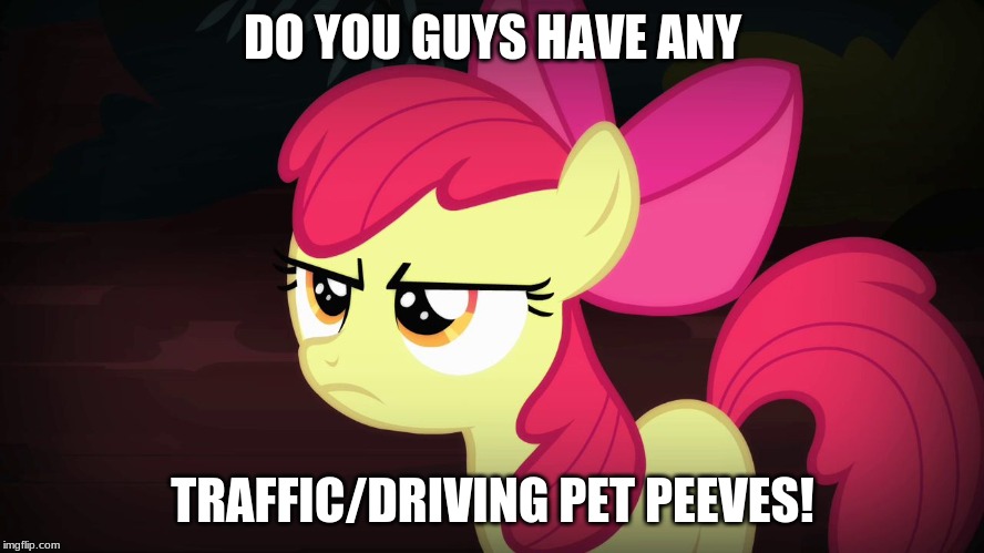I live in a state full of bad drivers! | DO YOU GUYS HAVE ANY; TRAFFIC/DRIVING PET PEEVES! | image tagged in angry applebloom,memes,bad drivers,traffic | made w/ Imgflip meme maker