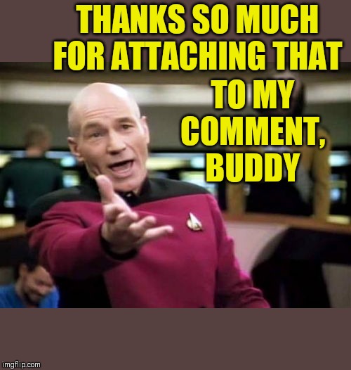Picard Wtf Meme | THANKS SO MUCH FOR ATTACHING THAT TO MY COMMENT, BUDDY | image tagged in memes,picard wtf | made w/ Imgflip meme maker