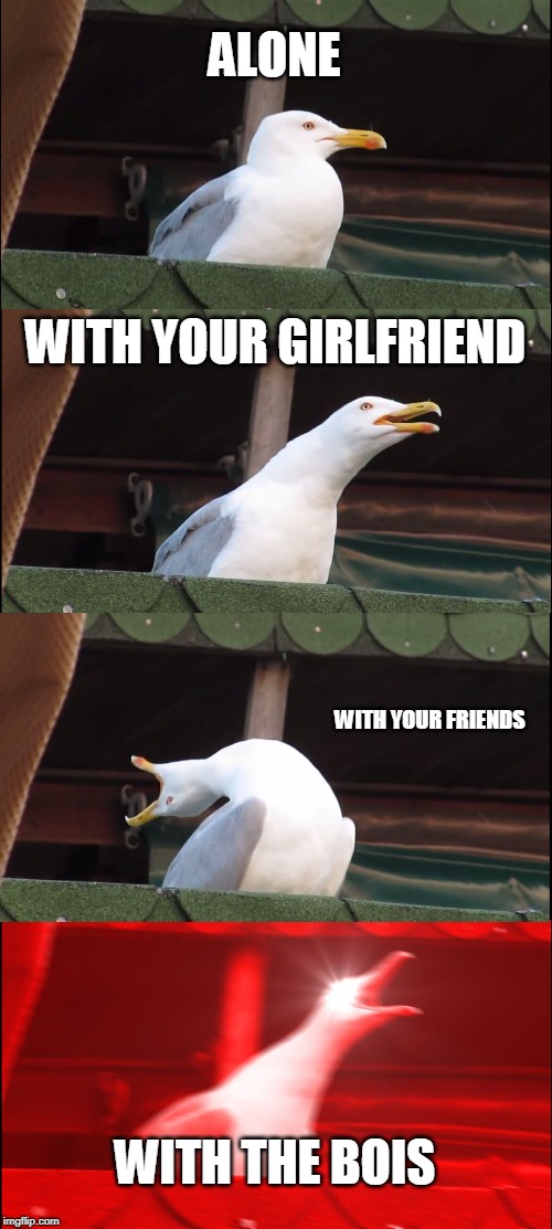 Inhaling Seagull Meme | ALONE; WITH YOUR GIRLFRIEND; WITH YOUR FRIENDS; WITH THE BOIS | image tagged in memes,inhaling seagull | made w/ Imgflip meme maker