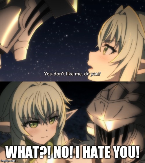 Goblin slayer Roast | WHAT?! NO! I HATE YOU! | image tagged in goblin slayer roast | made w/ Imgflip meme maker