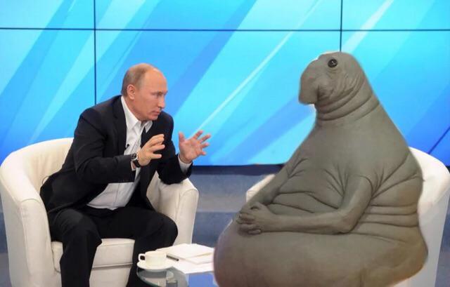Putin talking to walrus Blank Meme Template