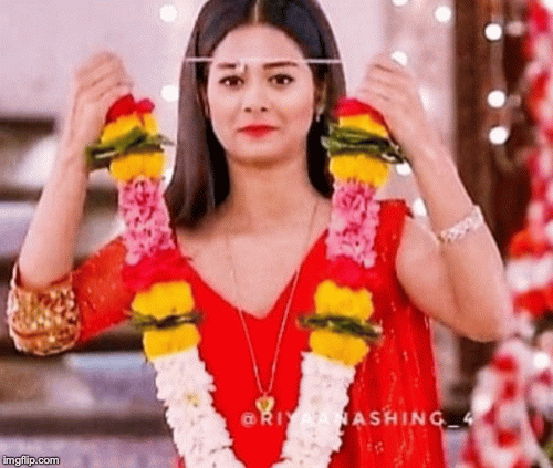 image tagged in gifs | made w/ Imgflip images-to-gif maker