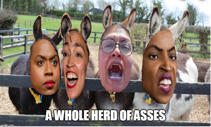 The Donkey Squad | A WHOLE HERD OF ASSES | image tagged in the donkey squad | made w/ Imgflip meme maker