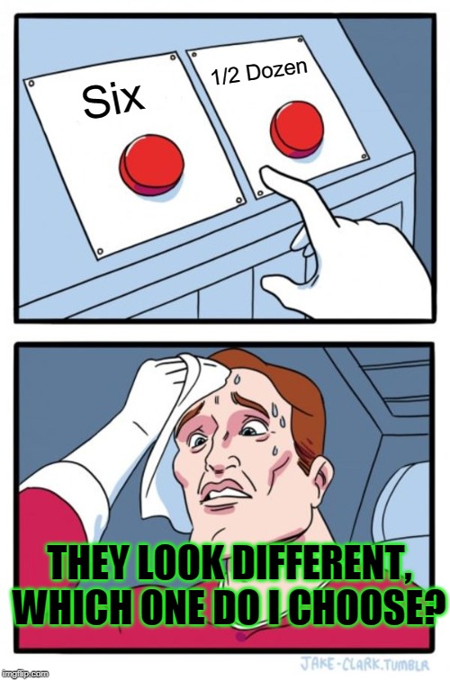 Two Buttons Meme | 1/2 Dozen; Six; THEY LOOK DIFFERENT, WHICH ONE DO I CHOOSE? | image tagged in memes,two buttons | made w/ Imgflip meme maker
