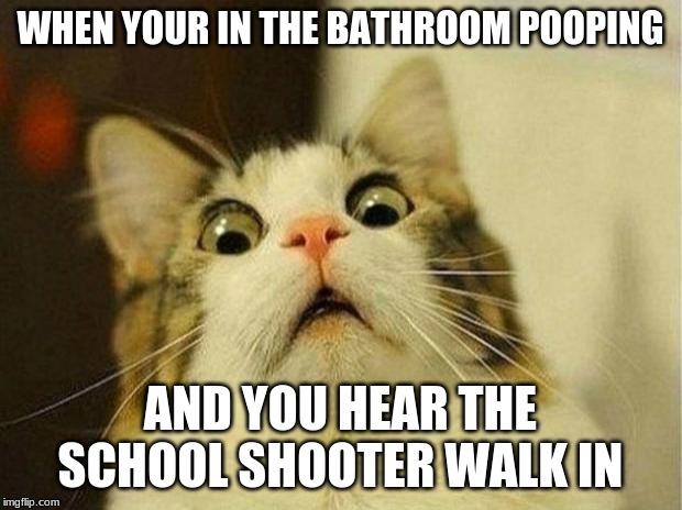 Scared Cat Meme | WHEN YOUR IN THE BATHROOM POOPING; AND YOU HEAR THE SCHOOL SHOOTER WALK IN | image tagged in memes,scared cat | made w/ Imgflip meme maker