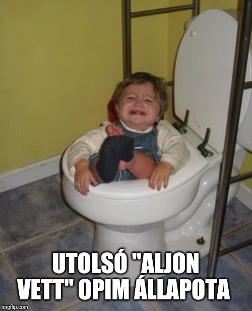 Stuck in the toilet  | UTOLSÓ "ALJON VETT" OPIM ÁLLAPOTA | image tagged in stuck in the toilet | made w/ Imgflip meme maker