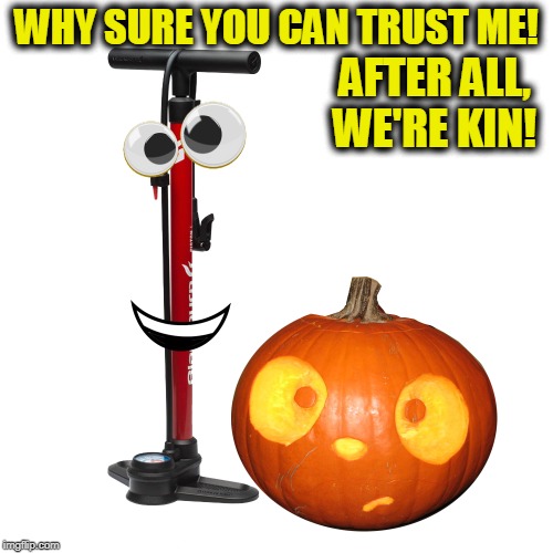 Pump and Kin | WHY SURE YOU CAN TRUST ME! AFTER ALL, WE'RE KIN! | image tagged in pump and pumpkin | made w/ Imgflip meme maker