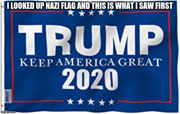 I LOOKED UP NAZI FLAG AND THIS IS WHAT I SAW FIRST | image tagged in funny | made w/ Imgflip meme maker