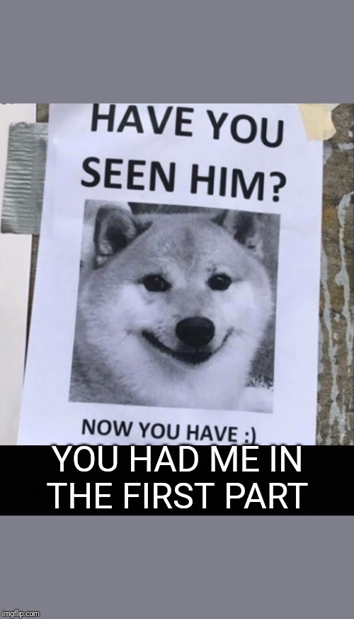 Lost Doggo | YOU HAD ME IN THE FIRST PART | image tagged in lost,dog | made w/ Imgflip meme maker