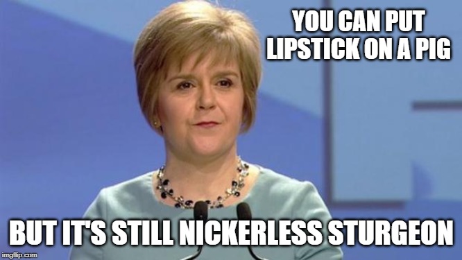 Nicola Sturgeon | YOU CAN PUT LIPSTICK ON A PIG; BUT IT'S STILL NICKERLESS STURGEON | image tagged in nicola sturgeon | made w/ Imgflip meme maker
