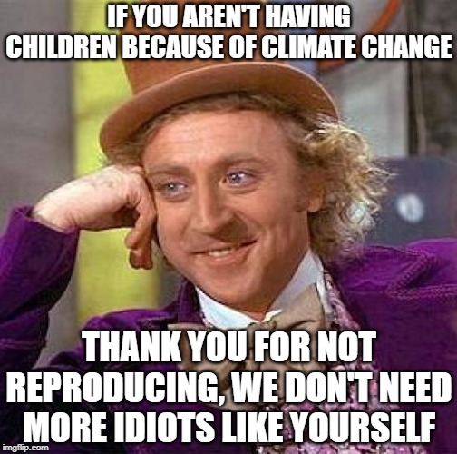 Creepy Condescending Wonka Meme | IF YOU AREN'T HAVING CHILDREN BECAUSE OF CLIMATE CHANGE; THANK YOU FOR NOT REPRODUCING, WE DON'T NEED MORE IDIOTS LIKE YOURSELF | image tagged in memes,creepy condescending wonka | made w/ Imgflip meme maker