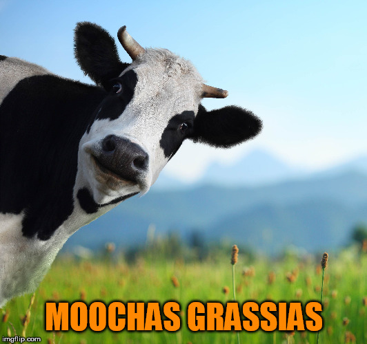 MOOCHAS GRASSIAS | made w/ Imgflip meme maker