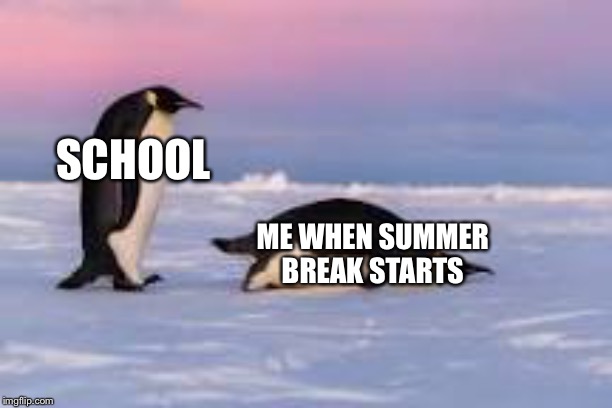 SCHOOL; ME WHEN SUMMER BREAK STARTS | made w/ Imgflip meme maker