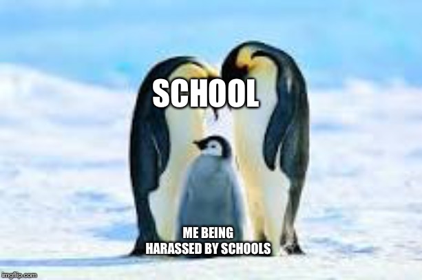 SCHOOL; ME BEING HARASSED BY SCHOOLS | made w/ Imgflip meme maker