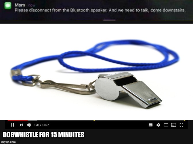 DOGWHISTLE FOR 15 MINUITES | image tagged in youtube video screen,please disconnect from bluetooth | made w/ Imgflip meme maker