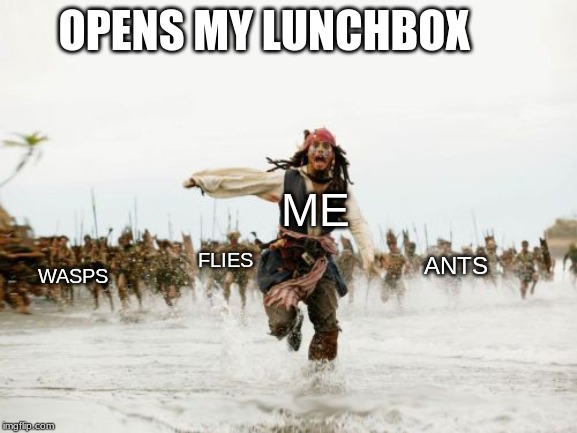 Jack Sparrow Being Chased | OPENS MY LUNCHBOX; ME; FLIES; ANTS; WASPS | image tagged in memes,jack sparrow being chased | made w/ Imgflip meme maker