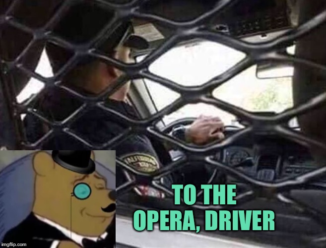 Too many honey lagers for Pooh. | TO THE OPERA, DRIVER | image tagged in winnie the pooh,police,memes,funny | made w/ Imgflip meme maker