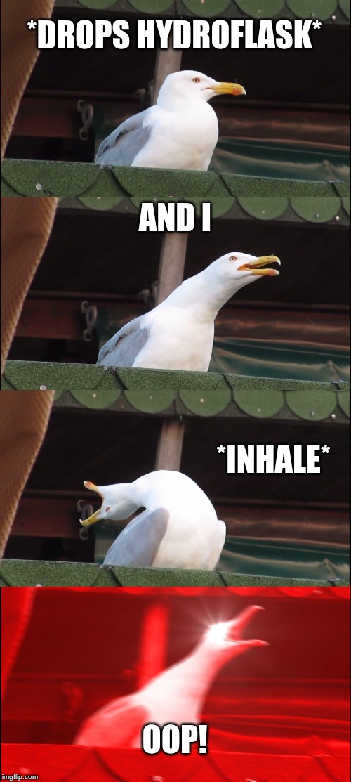 Inhaling Seagull | *DROPS HYDROFLASK*; AND I; *INHALE*; OOP! | image tagged in memes,inhaling seagull | made w/ Imgflip meme maker