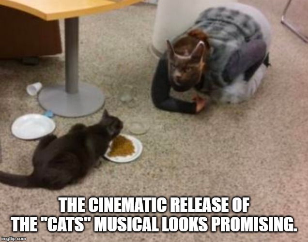 THE CINEMATIC RELEASE OF THE "CATS" MUSICAL LOOKS PROMISING. | image tagged in memes,funny,cats,food,musical,movie | made w/ Imgflip meme maker