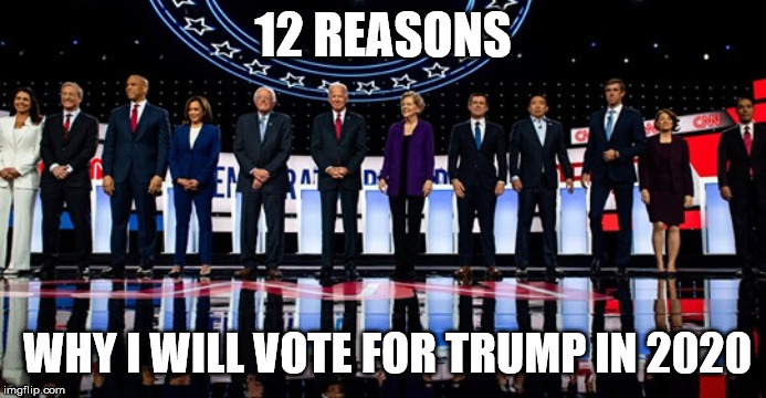 12 reasons | 12 REASONS; WHY I WILL VOTE FOR TRUMP IN 2020 | image tagged in politics,2020 elections | made w/ Imgflip meme maker