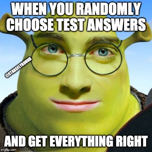 school tests be like |  WHEN YOU RANDOMLY CHOOSE TEST ANSWERS; @STARSFLYROUND; AND GET EVERYTHING RIGHT | image tagged in smart shrek | made w/ Imgflip meme maker