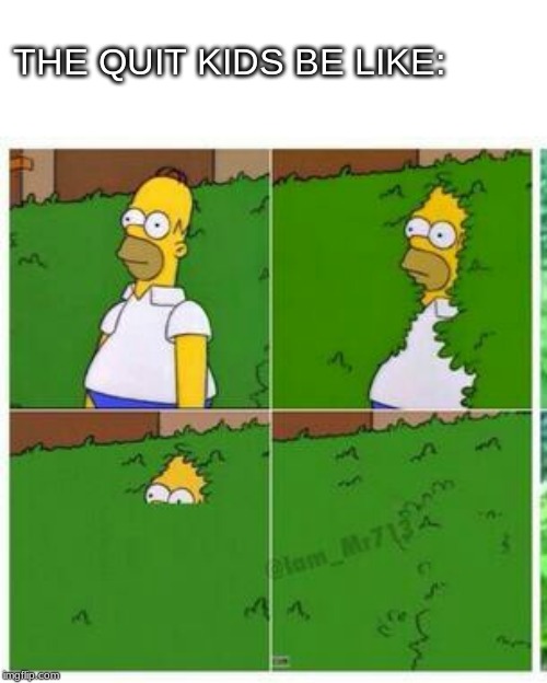 Homer hides | THE QUIT KIDS BE LIKE: | image tagged in homer hides | made w/ Imgflip meme maker