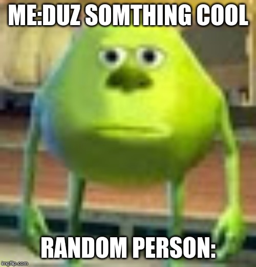 Sully Wazowski | ME:DUZ SOMTHING COOL; RANDOM PERSON: | image tagged in sully wazowski | made w/ Imgflip meme maker