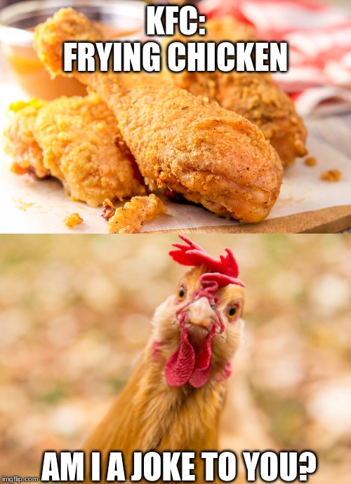 Food memes | KFC: FRYING CHICKEN; AM I A JOKE TO YOU? | image tagged in food,animals,am i a joke to you | made w/ Imgflip meme maker