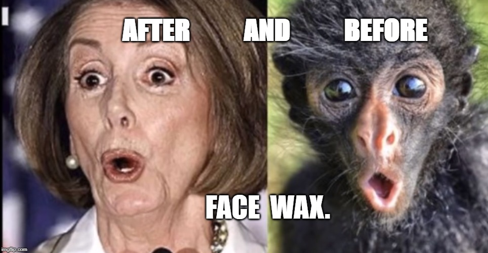 Pelosi | AFTER           AND           BEFORE; FACE  WAX. | image tagged in ugly,meme | made w/ Imgflip meme maker