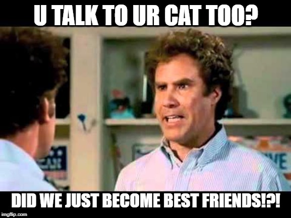 Did We Just Become Best Friends Mustang | U TALK TO UR CAT TOO? DID WE JUST BECOME BEST FRIENDS!?! | image tagged in did we just become best friends mustang | made w/ Imgflip meme maker