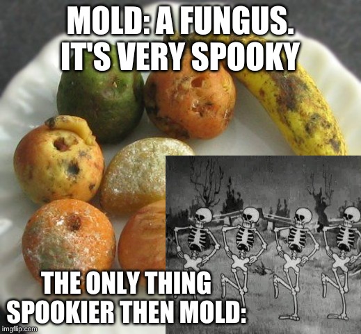 Spooky Scary Mold | MOLD: A FUNGUS. IT'S VERY SPOOKY; THE ONLY THING SPOOKIER THEN MOLD: | image tagged in spooktober,spooky scary skeleton | made w/ Imgflip meme maker