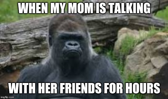 Im Triggered | WHEN MY MOM IS TALKING; WITH HER FRIENDS FOR HOURS | image tagged in true,mad,triggered | made w/ Imgflip meme maker