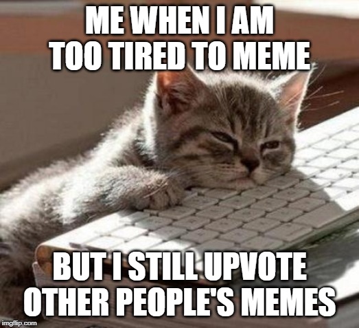 *yawn* | ME WHEN I AM TOO TIRED TO MEME; BUT I STILL UPVOTE OTHER PEOPLE'S MEMES | image tagged in tired cat | made w/ Imgflip meme maker