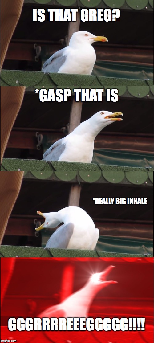 Inhaling Seagull | IS THAT GREG? *GASP THAT IS; *REALLY BIG INHALE; GGGRRRREEEGGGGG!!!! | image tagged in memes,inhaling seagull | made w/ Imgflip meme maker