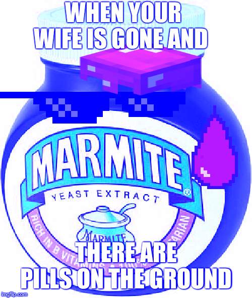Marmite | WHEN YOUR WIFE IS GONE AND; THERE ARE PILLS ON THE GROUND | image tagged in marmite | made w/ Imgflip meme maker