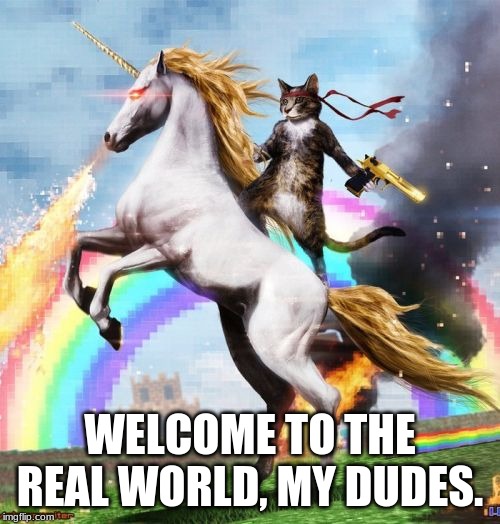 Welcome To The Internets Meme | WELCOME TO THE REAL WORLD, MY DUDES. | image tagged in memes,welcome to the internets | made w/ Imgflip meme maker