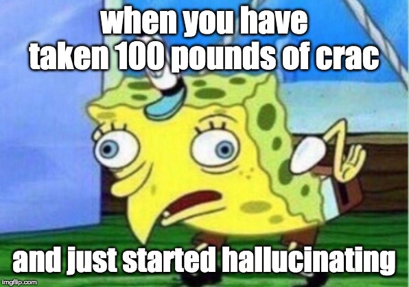 Mocking Spongebob | when you have taken 100 pounds of crac; and just started hallucinating | image tagged in memes,mocking spongebob | made w/ Imgflip meme maker