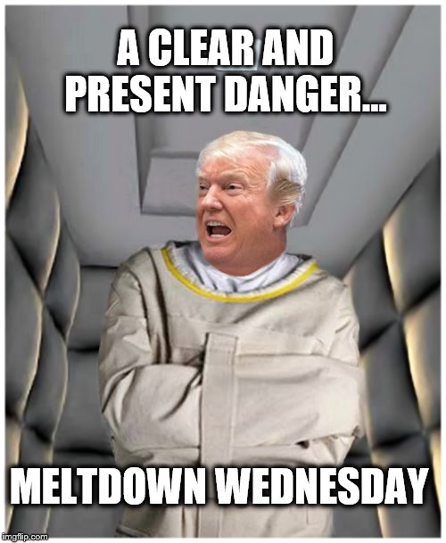 25/45 | A CLEAR AND PRESENT DANGER... MELTDOWN WEDNESDAY | image tagged in donald trump,trump is a moron,insanity,impeach trump | made w/ Imgflip meme maker