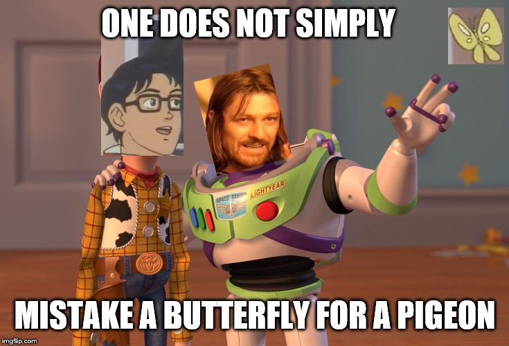 Fused Memes everywhere | ONE DOES NOT SIMPLY; MISTAKE A BUTTERFLY FOR A PIGEON | image tagged in memes,x x everywhere,one does not simply,is this a pigeon,meme fusion week | made w/ Imgflip meme maker
