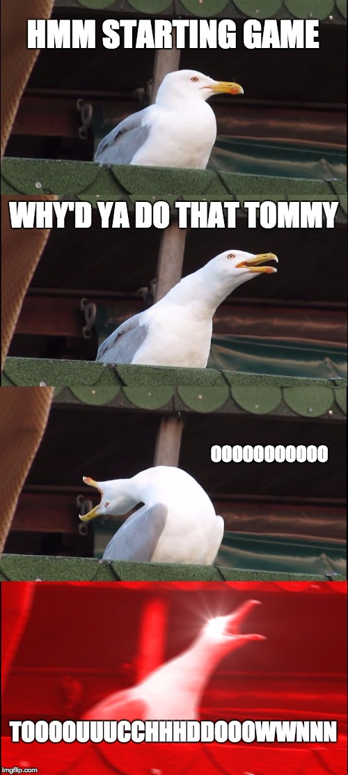 Inhaling Seagull Meme | HMM STARTING GAME; WHY'D YA DO THAT TOMMY; OOOOOOOOOOO; TOOOOUUUCCHHHDDOOOWWNNN | image tagged in memes,inhaling seagull | made w/ Imgflip meme maker