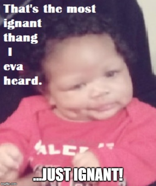 Ignorant | ...JUST IGNANT! | image tagged in ignorance | made w/ Imgflip meme maker