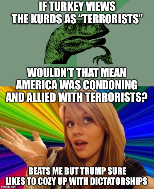 IF TURKEY VIEWS THE KURDS AS “TERRORISTS”; WOULDN’T THAT MEAN AMERICA WAS CONDONING AND ALLIED WITH TERRORISTS? BEATS ME BUT TRUMP SURE LIKES TO COZY UP WITH DICTATORSHIPS | image tagged in philosophy dinosaur,memes,dumb blonde | made w/ Imgflip meme maker