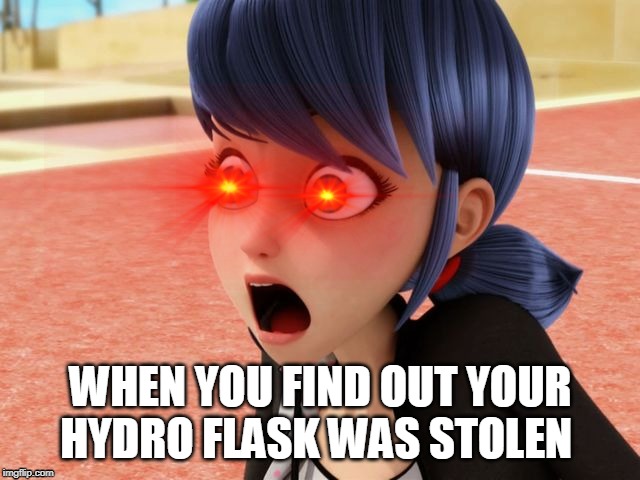 When you find out your hydro flask was stolen | WHEN YOU FIND OUT YOUR HYDRO FLASK WAS STOLEN | image tagged in memes | made w/ Imgflip meme maker
