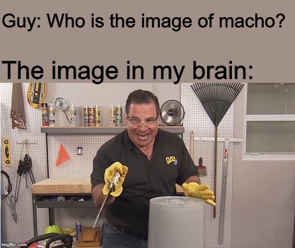 Phil Swift That's A Lotta Damage (Flex Tape/Seal) | Guy: Who is the image of macho? The image in my brain: | image tagged in phil swift that's a lotta damage flex tape/seal | made w/ Imgflip meme maker