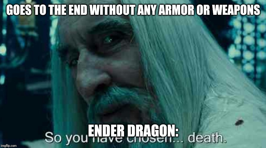 So you have chosen death | GOES TO THE END WITHOUT ANY ARMOR OR WEAPONS; ENDER DRAGON: | image tagged in so you have chosen death | made w/ Imgflip meme maker