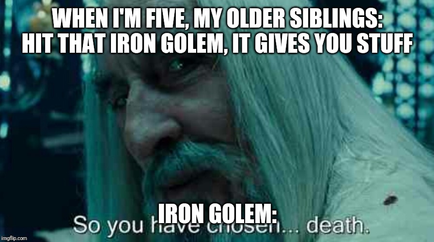So you have chosen death | WHEN I'M FIVE, MY OLDER SIBLINGS: HIT THAT IRON GOLEM, IT GIVES YOU STUFF; IRON GOLEM: | image tagged in so you have chosen death | made w/ Imgflip meme maker