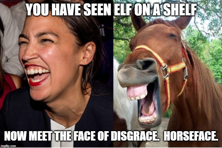 Ocasio-Cortez | YOU HAVE SEEN ELF ON A SHELF; NOW MEET THE FACE OF DISGRACE.  HORSEFACE. | image tagged in ocasio-cortez | made w/ Imgflip meme maker