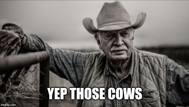 So God Made A Farmer Meme | YEP THOSE COWS | image tagged in memes,so god made a farmer | made w/ Imgflip meme maker
