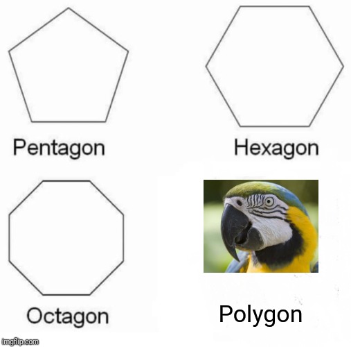 Pentagon Hexagon Octagon Meme | Polygon | image tagged in memes,pentagon hexagon octagon | made w/ Imgflip meme maker