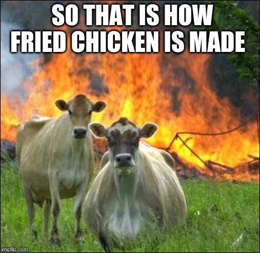 Evil Cows Meme | SO THAT IS HOW FRIED CHICKEN IS MADE | image tagged in memes,evil cows | made w/ Imgflip meme maker